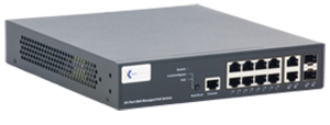 RY LGSP23 10G 1 300x114 - RY-LGSP23-10G