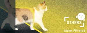 Hikvision Acusense cat 300x114 - Hikvision-Acusense_cat