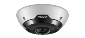 pelco 1536x685 1 300x134 - Pelco 1536x685