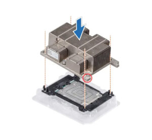 ainvr2 val ank 300x275 - AINVR2-VAL-ANK