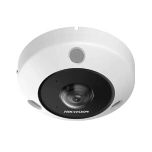 ds 2cd6365g1 ivs 300x300 - Hikvision DS-2CD6365G1-IVS